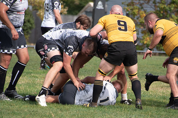 145DSC_5344